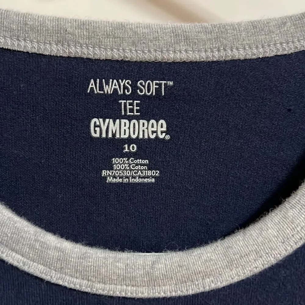Gymboree youth boys size 10 blue/gray Always Soft long sleeved Tee.
